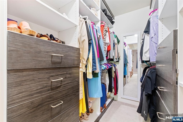 6 Elston Ct, Wanaque, NJ 07420 - spacious closet featuring carpet flooring