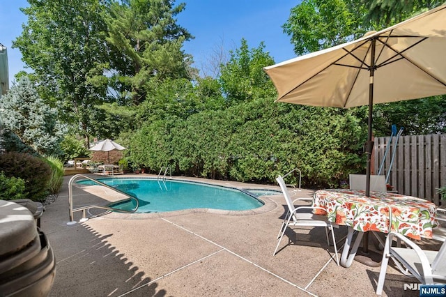 506 Salem St, Paramus, NJ 07652 - view of pool featuring a patio area