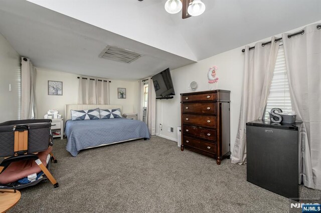 20 Card St, Hamburg, NJ 07419 - bedroom featuring carpet, lofted ceiling, a ceiling fan, and refrigerator