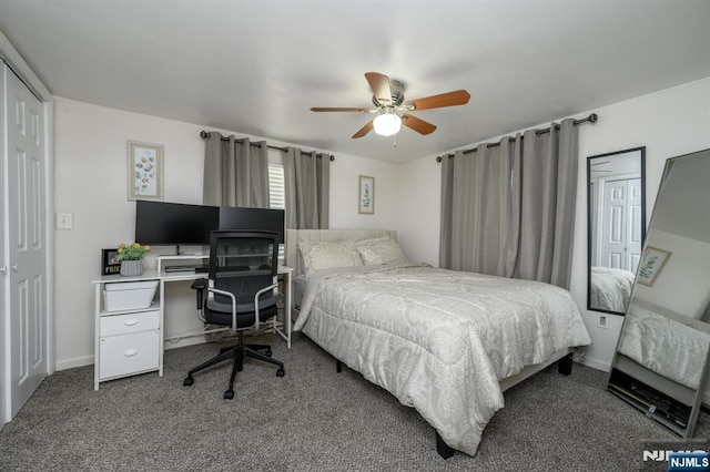 20 Card St, Hamburg, NJ 07419 - carpeted bedroom with ceiling fan and baseboards