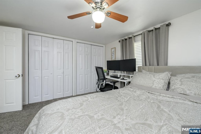 20 Card St, Hamburg, NJ 07419 - carpeted bedroom with two closets and a ceiling fan