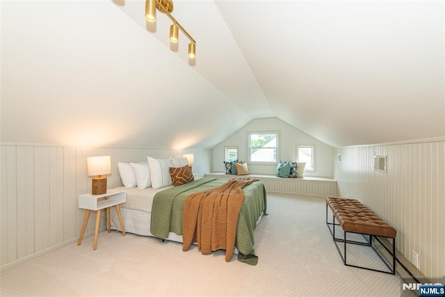 146 Raab Ave, Bloomfield, NJ 07003 - carpeted bedroom with vaulted ceiling