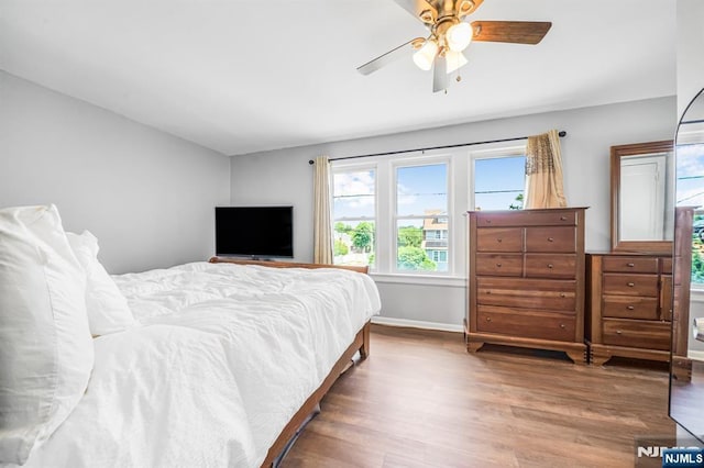 434 3rd Ave, Lyndhurst, NJ 07071 - bedroom with wood finished floors, multiple windows, and ceiling fan