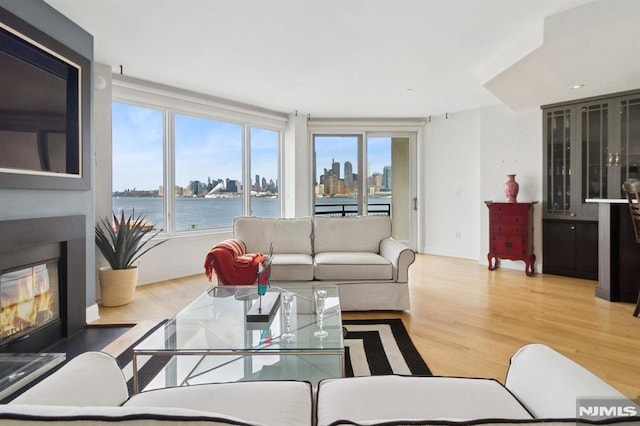 600 Harbor Blvd Unit 973/975, Weehawken, NJ 07086 - living room with wood finished floors, a fireplace with flush hearth, healthy amount of natural light, and a view of skyline