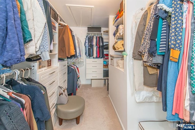 90 Warbler Dr, Wayne, NJ 07470 - walk in closet with attic access and light colored carpet