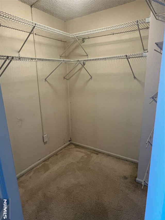 245 Prospect Ave Unit 5A, Hackensack, NJ 07601 - spacious closet with carpet flooring