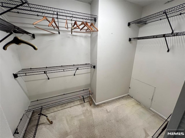 245 Prospect Ave Unit 5A, Hackensack, NJ 07601 - spacious closet featuring carpet
