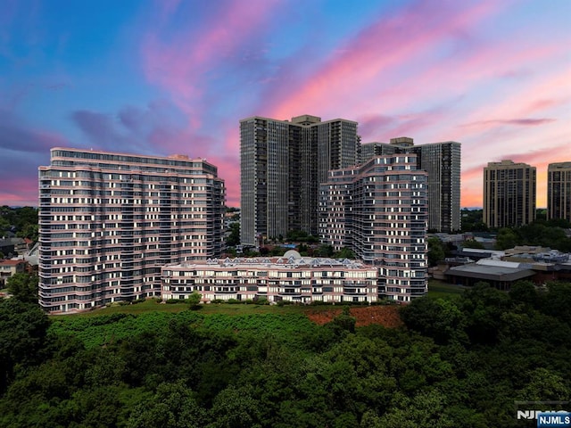 100 Carlyle Dr Unit 12K-S, Cliffside Park, NJ 07010 - view of city