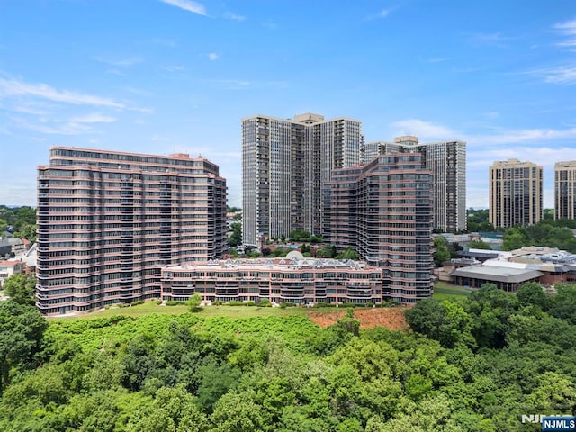 100 Carlyle Dr Unit 12K-S, Cliffside Park, NJ 07010 - view of urban area