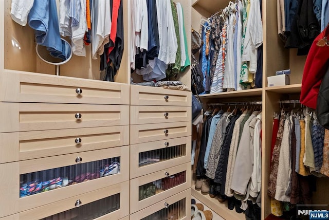 100 Carlyle Dr Unit 12K-S, Cliffside Park, NJ 07010 - view of walk in closet