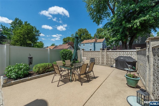 55 Rowland Ave, Hackensack, NJ 07601 - fenced backyard with a grill, a patio area, and outdoor dining space