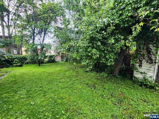 4311 Cottage Ave, North Bergen, NJ 07047 - view of grassy yard