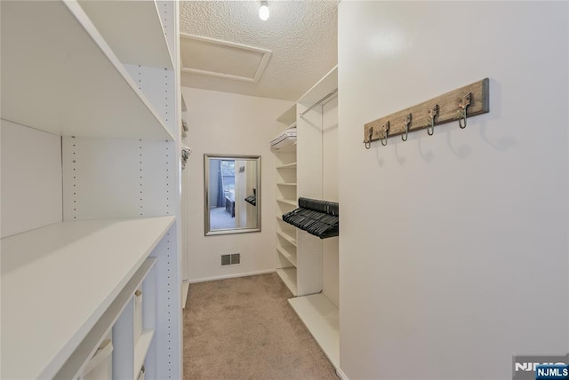 1066 Ash Dr, Mahwah, NJ 07430 - walk in closet with light colored carpet