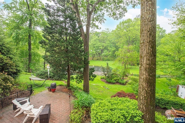 59 Green Hill Rd, Kinnelon Borough, NJ 07405 - view of yard featuring a patio area