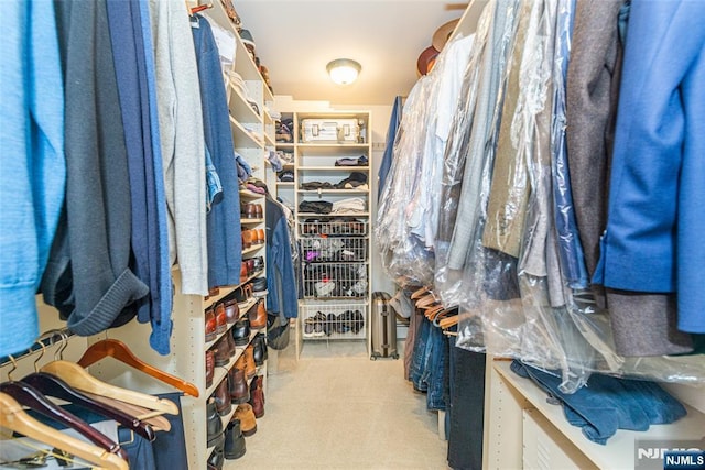 59 Green Hill Rd, Kinnelon Borough, NJ 07405 - view of walk in closet