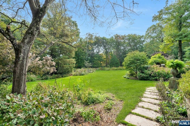307 Freemans Ln, Franklin Lakes, NJ 07417 - view of green lawn