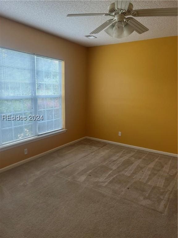 carpeted empty room with ceiling fan, a wealth of natural light, and a textured ceiling