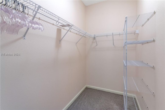 spacious closet with carpet flooring