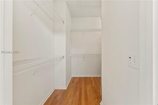 spacious closet featuring wood-type flooring