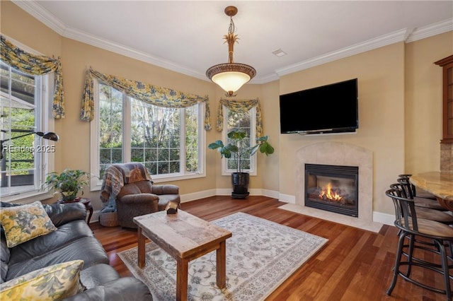 living room with ornamental molding and dark hardwood / wood-style floors