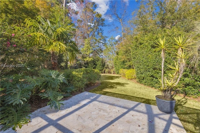 view of yard featuring a patio