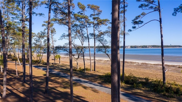 water view with a beach view