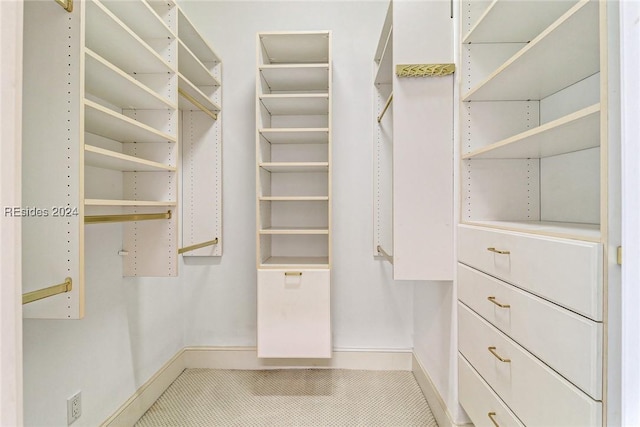 view of spacious closet