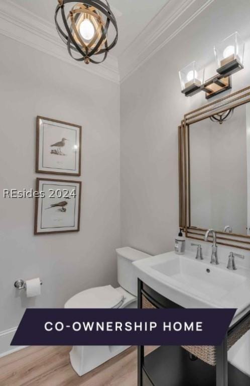 bathroom with crown molding, vanity, toilet, and hardwood / wood-style floors