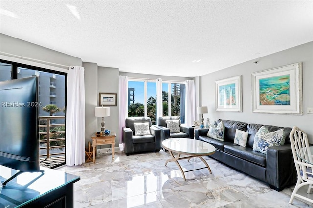 living room with a textured ceiling