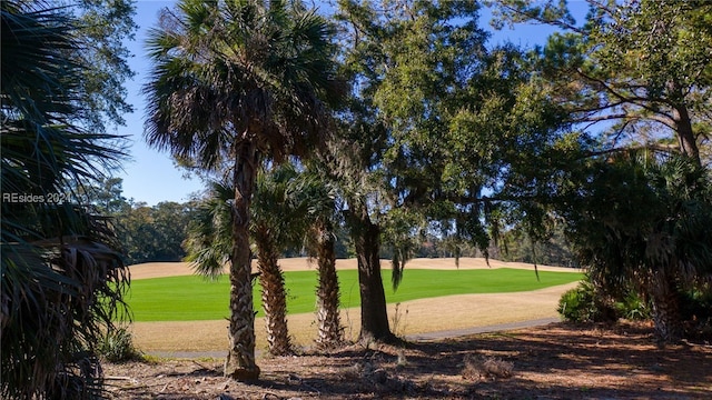 view of property's community featuring a lawn