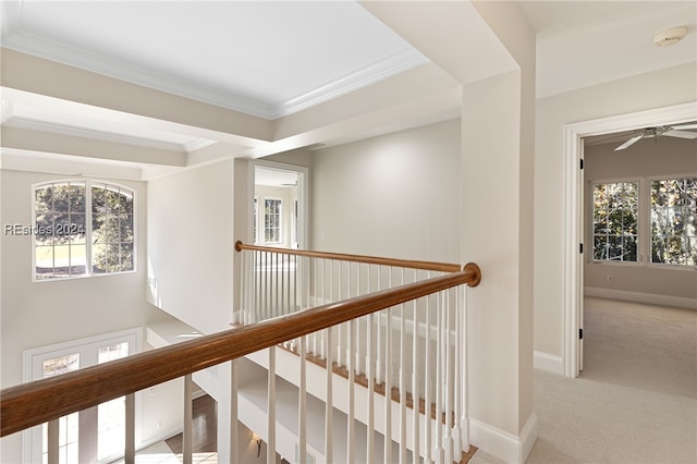 corridor with crown molding, light colored carpet, and a wealth of natural light