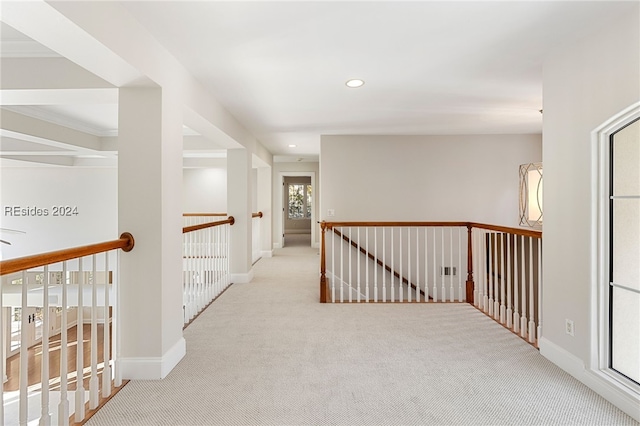 hall featuring ornamental molding and light carpet