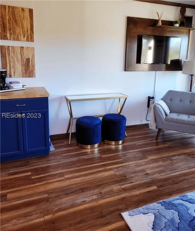 interior space featuring dark wood-type flooring