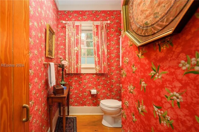 bathroom featuring hardwood / wood-style flooring and toilet