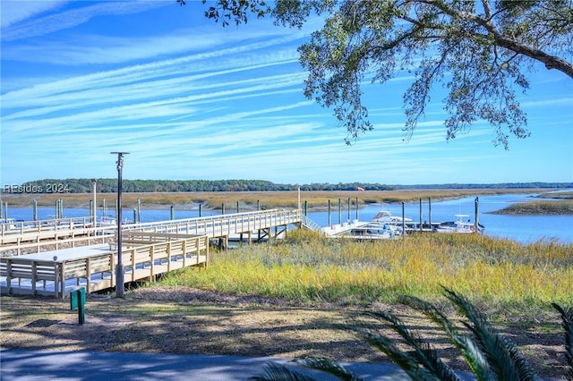 dock area with a water view