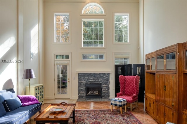 living room with a stone fireplace