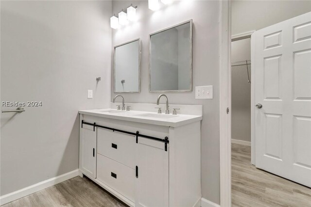 bathroom featuring wood-type flooring and vanity