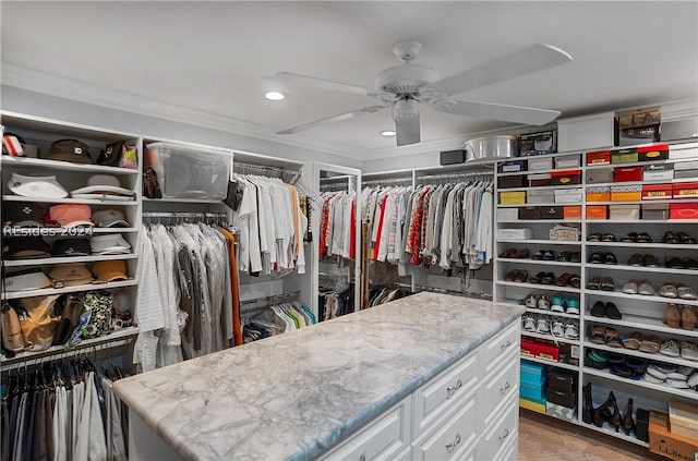 spacious closet with ceiling fan