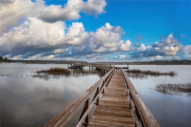 dock area with a water view