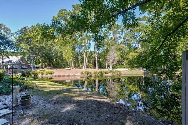 view of yard with a water view