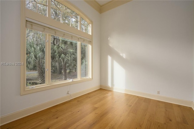 spare room featuring ornamental molding and light hardwood / wood-style floors