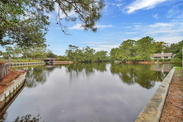 view of water feature