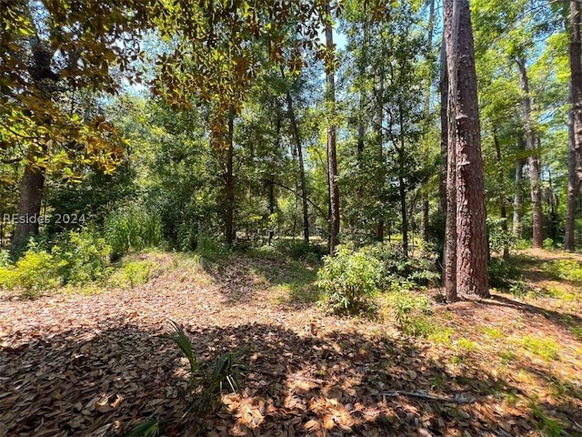 Listing photo 3 for 132 Benjies Point Rd SW, Daufuskie Island SC 29915