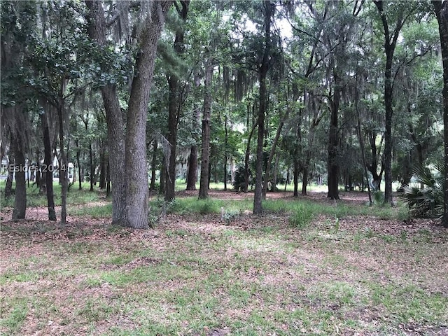 Listing photo 3 for 14 Prestwick Grn, Daufuskie Island SC 29915