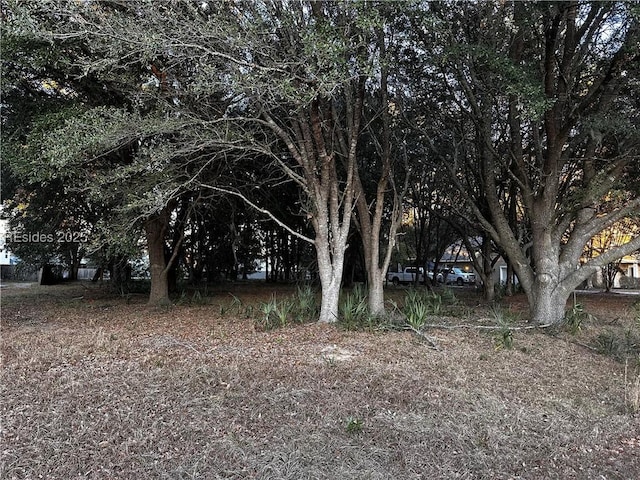 Listing photo 3 for 6 Maypop Ct, Bluffton SC 29910