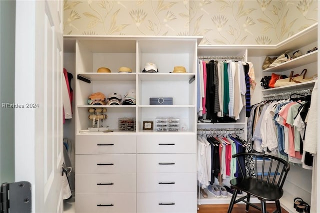 spacious closet with wood-type flooring