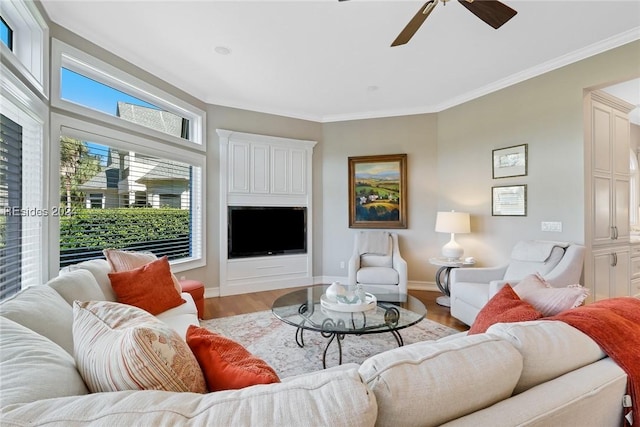 living room featuring wood-type flooring, ornamental molding, and ceiling fan