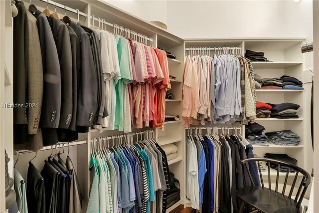 view of spacious closet