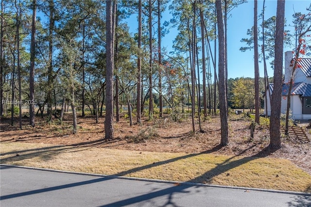 Listing photo 2 for 11 Amaranth Rd, Bluffton SC 29910