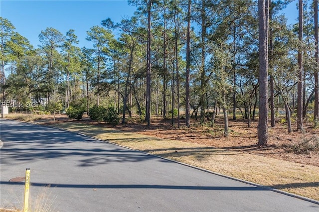 Listing photo 3 for 11 Amaranth Rd, Bluffton SC 29910